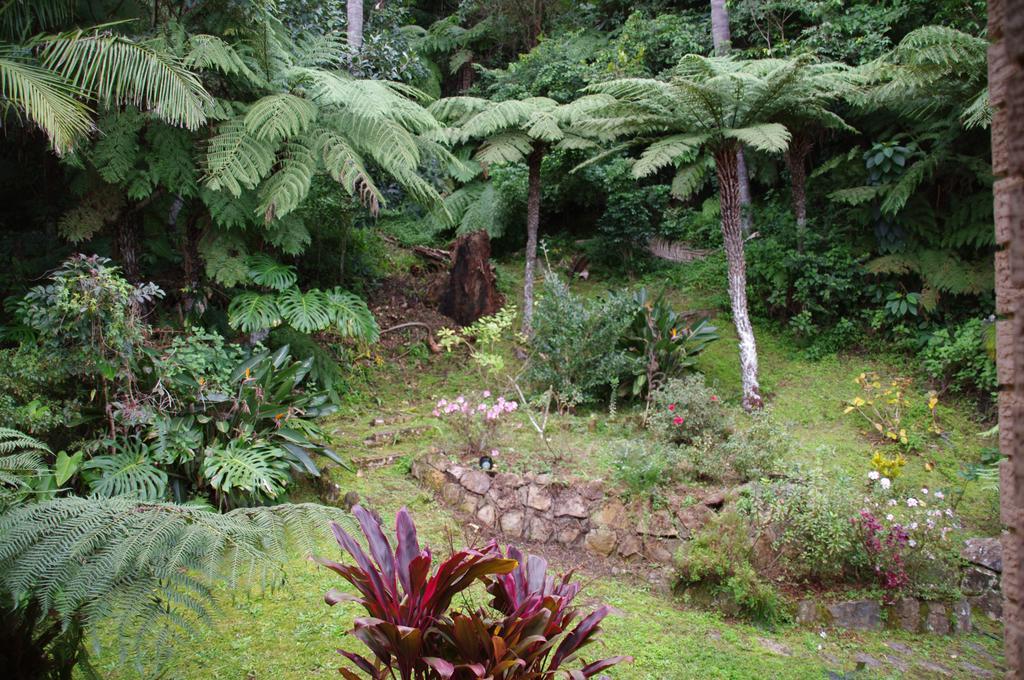 Marcel Towers Holiday Apartments Nambucca Heads Exteriör bild